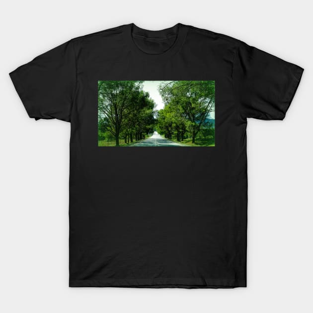 Pathway T-Shirt by tryspiritual